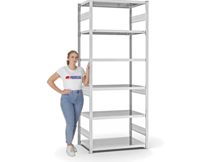PROREGAL Fachbodenregal Stecksystem T-Profil Heavy-Duty Grundregal HxBxT 250 x 100 x 60 cm 6 Ebenen Fachlast 330 kg Beidseitig Nutzbar* Schwerlastregal