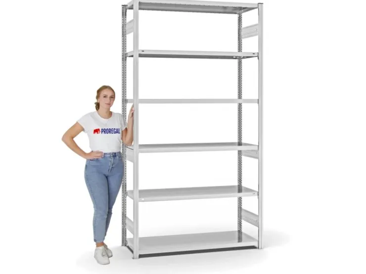 PROREGAL Fachbodenregal Stecksystem T-Profil Heavy-Duty Grundregal HxBxT 250 x 130 x 50 cm 6 Ebenen Fachlast 330 kg Beidseitig Nutzbar