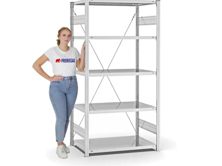 PROREGAL Fachbodenregal Stecksystem T-Profil Light-Duty Grundregal HxBxT 200 x 100 x 60 cm 5 Ebenen Fachlast 140 kg Einseitig Nutzbar* Büroregale