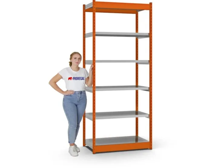 PROREGAL Fachbodenregal Stecksystem Vierkant-Profil Grundregal HxBxT 250 x 102,5 x 50 cm 6 Ebenen Einseitige Bauart Fachlast 200 kg* Büroregale