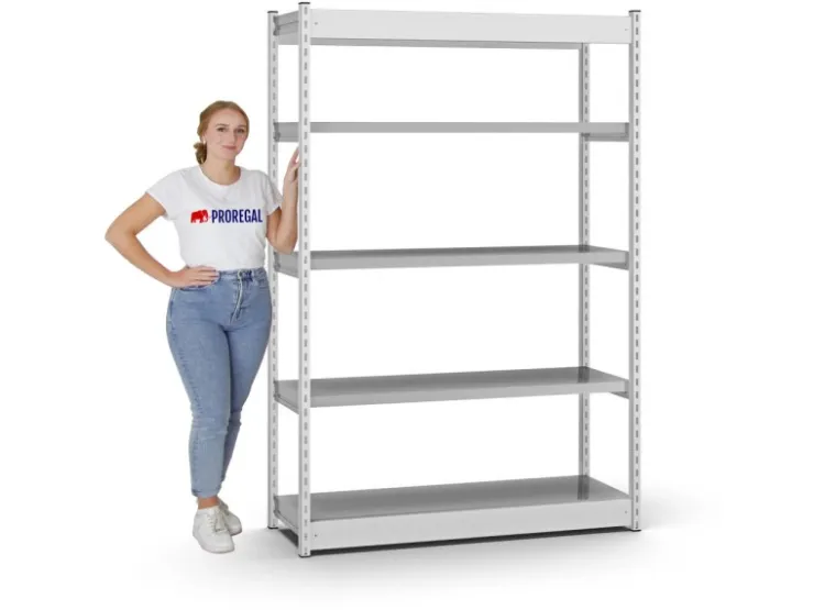 PROREGAL Fachbodenregal Stecksystem Vierkant-Profil Grundregal HxBxT 200 x 102,5 x 60 cm 5 Ebenen Einseitige Bauart Fachlast 200 kg* Büroregale