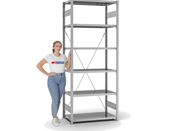 PROREGAL Fachbodenregal Stecksystem T-Profil Light-Duty Grundregal HxBxT 250 x 100 x 50 cm 6 Ebenen Fachlast 140 kg Einseitig Nutzbar
