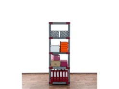 PROREGAL Kunststoffregal Big Grey Bear Tall HxBxT 180 x 60 x 46 cm Fachlast 160 kg Grau/Rot