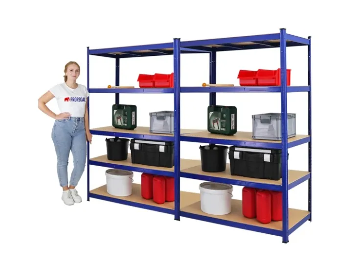 PROREGAL Mega Deal 2x Schwerlastregal Taurus HxBxT 180 x 120 x 60 cm Fachlast 175 kg