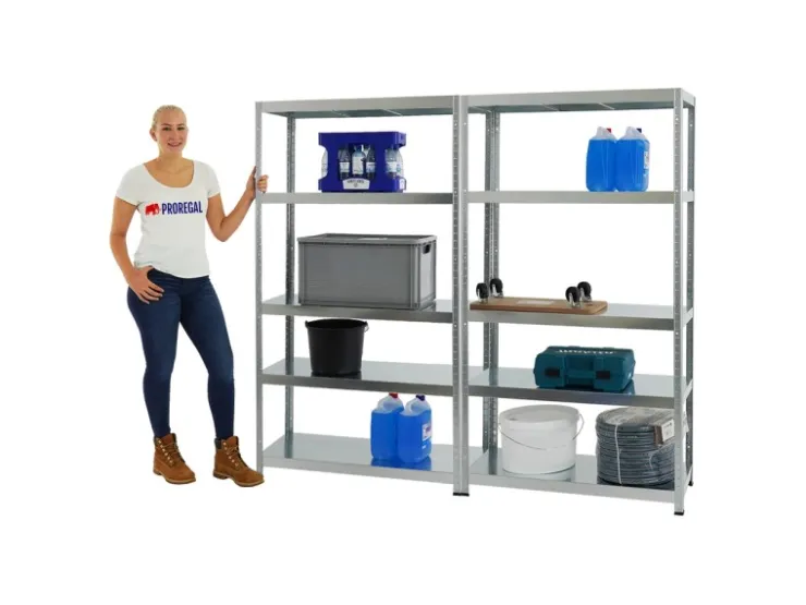 PROREGAL Mega Deal 2x Schwerlastregal Steel Eagle HxBxT 180 x 100 x 40 cm Fachlast 130 kg
