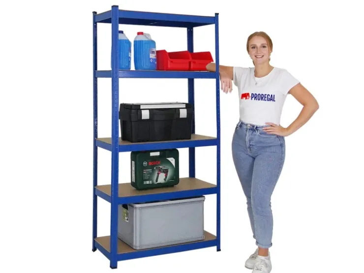 PROREGAL Mega Deal 2x Schwerlastregal Ragnar HxBxT 180 x 90 x 40 cm Fachlast 175 kg