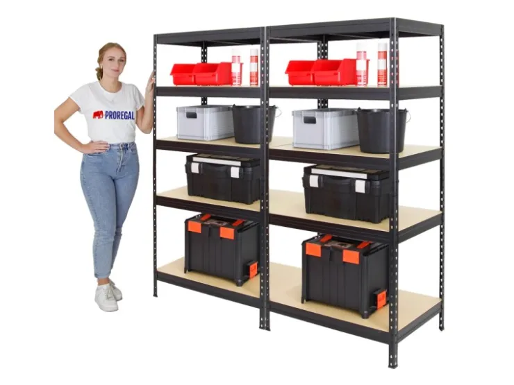 PROREGAL Mega Deal 2x Schwerlastregal Rivet HxBxT 180 x 90 x 60 cm Fachlast 250 kg* Schwerlastregal