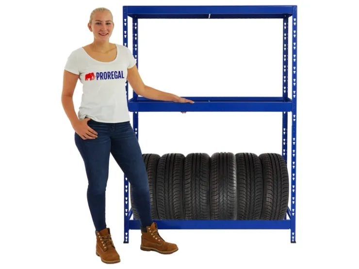 PROREGAL Reifenregal Tiger mit Fachboden HxBxT 180 x 130 x 50 cm bis zu 12 Reifen auf 2 Ebenen* Weitere Regale