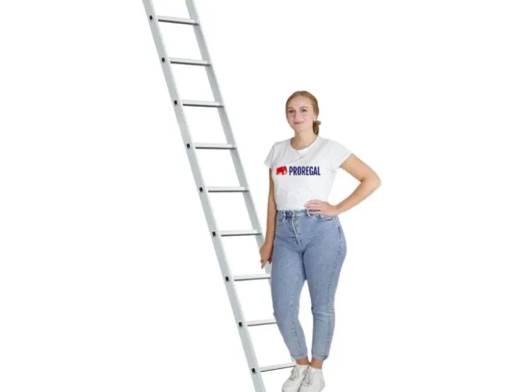 PROREGAL Sprossen-Anlegeleiter Economy Plus Ohne Traverse 9 Sprossen Arbeitshöhe 3,46 m Traglast 150 kg* Klapptritte