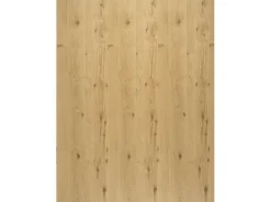 Regalboden Eiche Astig 80 cm x 50 cm x 1,6 cm