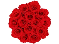 Rosenbox Ø 19 cm Schwarz mit Schleife und 14 en Rosen* Ostern