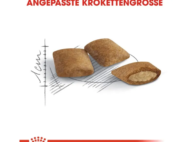 Royal Canin Ageing 12+ Trockenfutter für ältere Katzen 0,4 kg