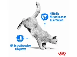 Royal Canin Light Weight Care Trockenfutter zu Übergewicht Neigenden Katzen 3 kg* Katzenbedarf