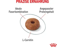 Royal Canin Light Weight Care Trockenfutter zu Übergewicht Neigenden Katzen 3 kg* Katzenbedarf