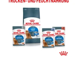 Royal Canin Light Weight Care Trockenfutter zu Übergewicht Neigenden Katzen 3 kg* Katzenbedarf