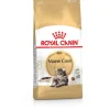 Royal Canin Maine Coon Adult Katzenfutter Trocken 10 kg* Katzenbedarf