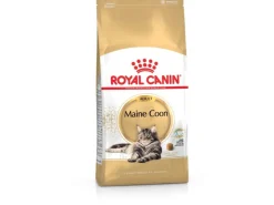Royal Canin Maine Coon Adult Katzenfutter Trocken 10 kg* Katzenbedarf
