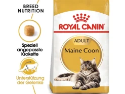 Royal Canin Maine Coon Adult Katzenfutter Trocken 10 kg* Katzenbedarf