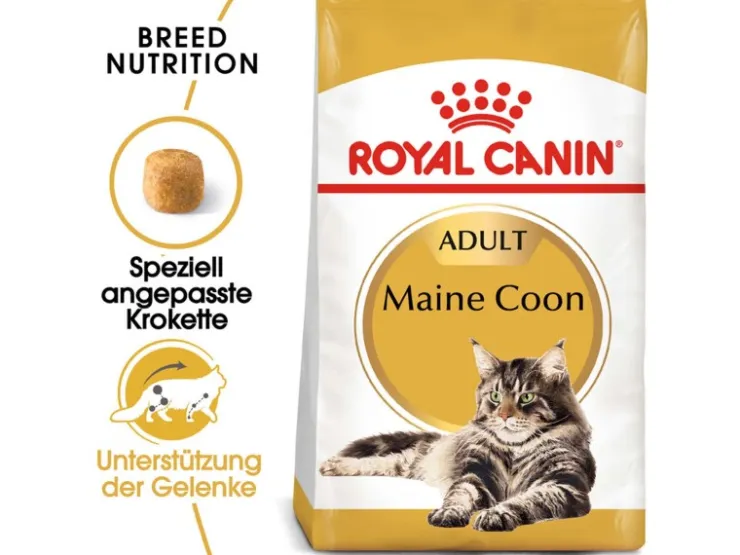 Royal Canin Maine Coon Adult Katzenfutter Trocken 10 kg* Katzenbedarf