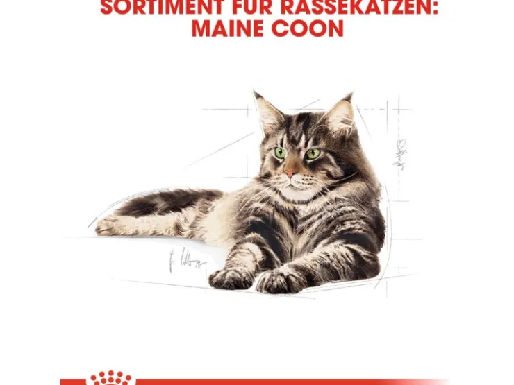 Royal Canin Maine Coon Adult Katzenfutter Trocken 10 kg* Katzenbedarf