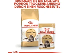 Royal Canin Maine Coon Adult Katzenfutter Trocken 10 kg* Katzenbedarf