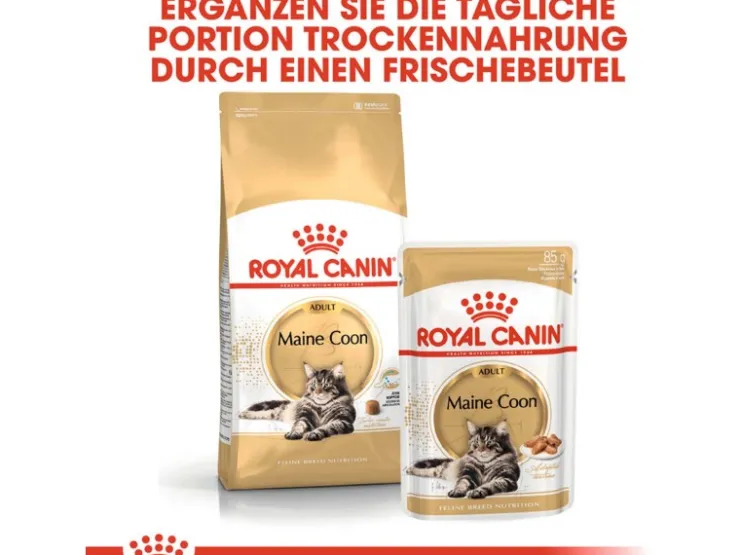 Royal Canin Maine Coon Adult Katzenfutter Trocken 10 kg* Katzenbedarf