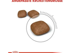 Royal Canin Urinary Care Katzenfutter Trocken Gesunde Harnwege 2 kg* Katzenbedarf