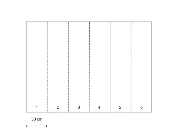 Sanders & Sanders Fototapete Peppa Wutz Dunkelblau 3 x 2,7 m 601193