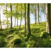 Sanders & Sanders Fototapete Landschaft Grün und Blau 450 x 280 cm 612683* Fototapeten