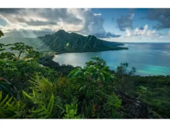Sanders & Sanders Fototapete Tropische Insel Grün und Blau 450 x 280 cm 612698* Fototapeten