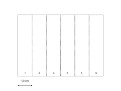 Sanders & Sanders Fototapete Harry Potter Hogwarts Grau und Rot 3 x 2,7 m 601188* Fototapeten