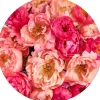 Sanders & Sanders Selbstklebende Runde Tapete Blumen Rosa Ø 125 cm 611805* Wandtattoos