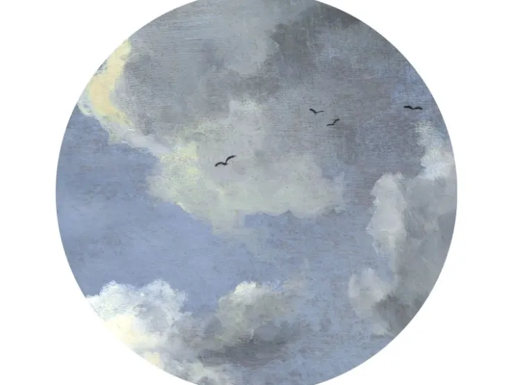Sanders & Sanders Selbstklebende Runde Tapete Wolken Graublau Ø 125 cm 611771* Wandtattoos