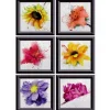 Sanders & Sanders Wandtattoo Blumen Gelb Lila und Rosa 65 x 85 cm 600276* Wandtattoos