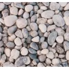 Scherf Flusskiesel Grau-Beige 16-32 mm 25 kg PE-Sack