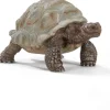 Schleich Wild Life Riesenschildkröte* Geschenkartikel