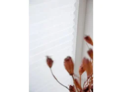 Schöner Wohnen Kollektion Schöner Wohnen Plissee Marla 80 cm x 220 cm Weiß