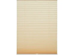Schöner Wohnen Kollektion Schöner Wohnen Plissee Milla 120 cm x 130 cm* Plissees