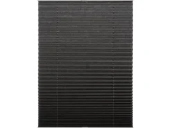 Schöner Wohnen Kollektion Schöner Wohnen Plissee Milla 50 cm x 130 cm* Plissees