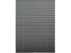Schöner Wohnen Kollektion Schöner Wohnen Thermo-Plissee Ella 120 cm x 130 cm