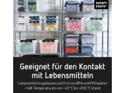 SmartStore Aufbewahrungsbox Classic mit Deckel 31 l* Bettwäsche