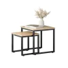 SoBuy 2er Set Couchtisch Beistelltisch Sofatisch Kaffeetisch Natur FBT42-N