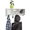 SoBuy Wandgarderobe Hängeregal Wandschrank mit 4 Haken FRG48-W* Regal Weiß