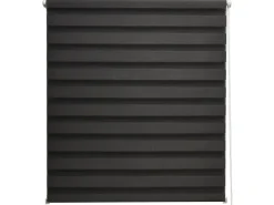 Sol Royal SolDecor DL2 Doppelrollo 60x150cm* Rollos
