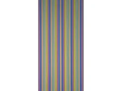 Streifenvorhang Brilliant Bunt 90 cm x 200 cm
