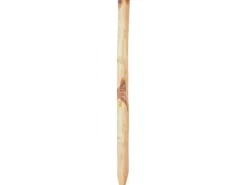 Tetzner und Jentzsch T & J Zaunpfahl Rollo 250 cm