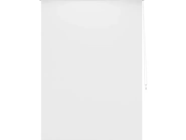 Tageslicht-Rollo Zamora 120 cm x 175 cm* Raffrollos