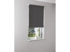 Tageslicht-Rollo Zamora 120 cm x 175 cm