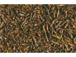 Tetra Ergänzungsfuttermittel ReptoDelica Grasshoppers 250 ml