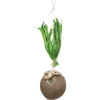 Trixie Kokosnuss am Sisalseil 35 cm* Vogelbedarf